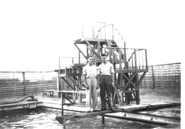 shaibahearly40.jpg (71183 bytes)